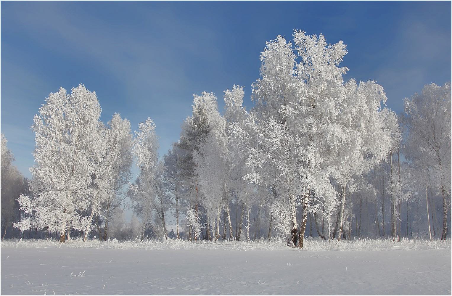 photo "***" tags: landscape, winter