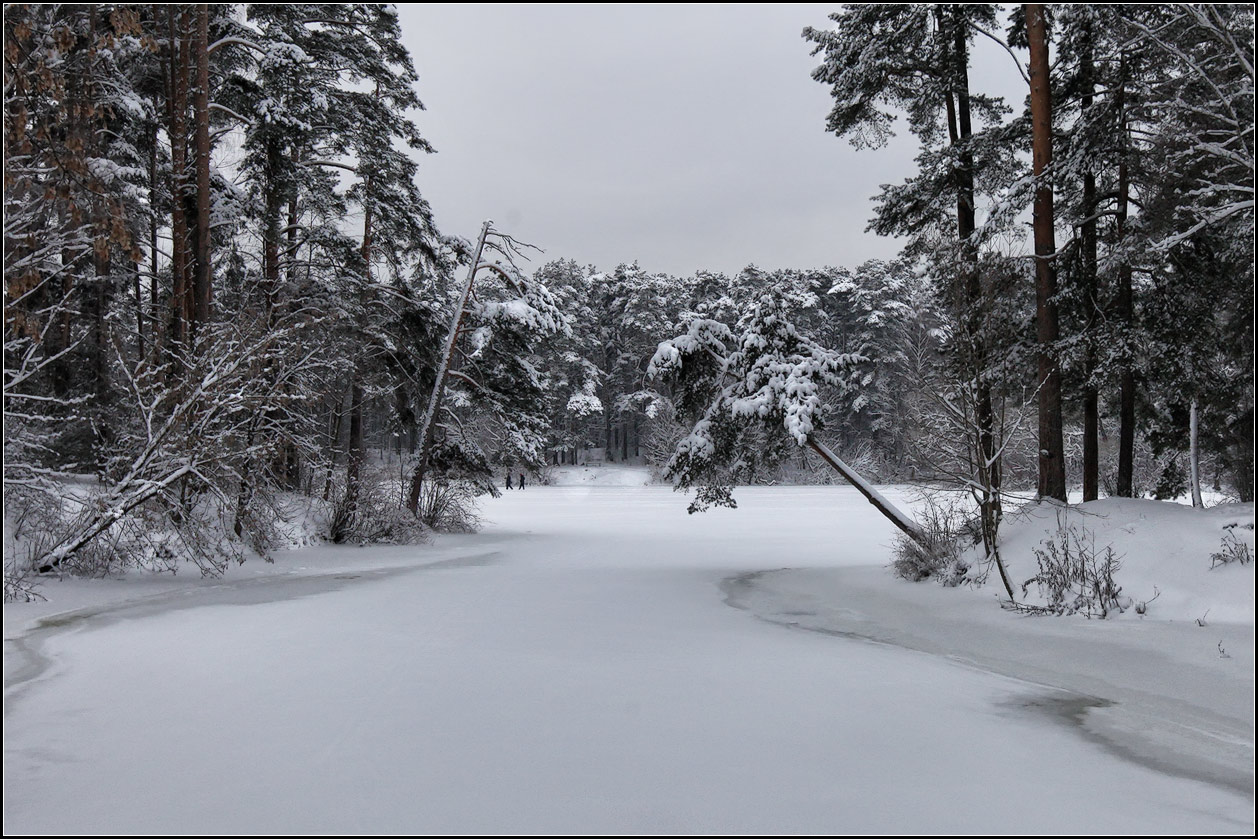 photo "winter picture" tags: landscape, nature, 