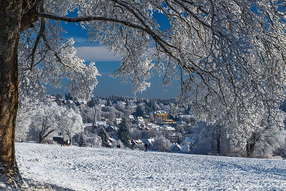 фото "***" метки: , 