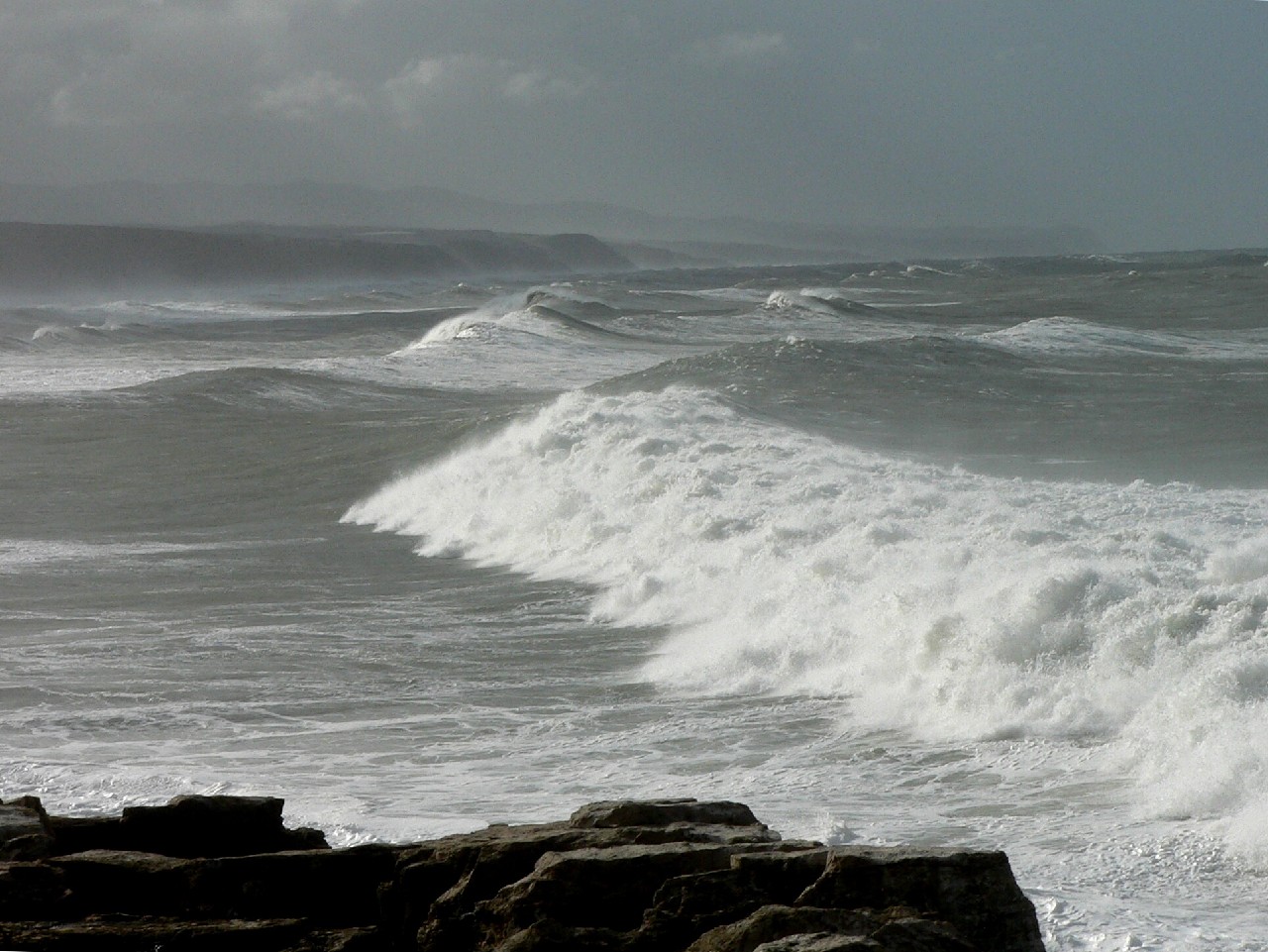 photo "Bad weather." tags: nature, 