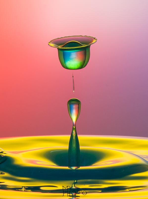 photo "liquid tulip" tags: abstract, macro and close-up, still life, drop, high speed photography, splash, water, waterdrop
