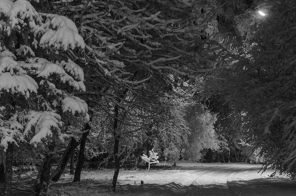 фото "Укромное место" метки: пейзаж, 