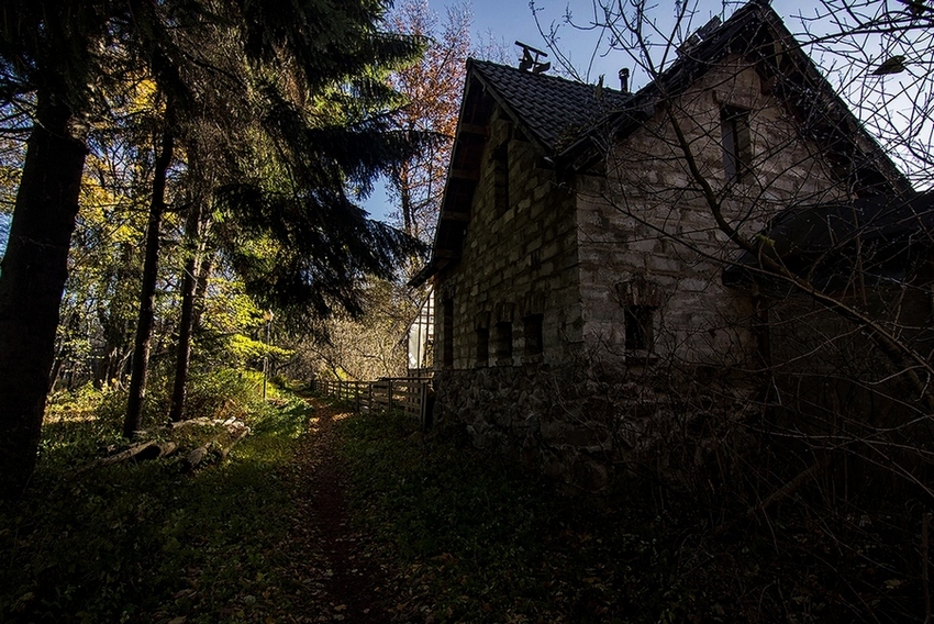 фото "Петергоф" метки: путешествия, пейзаж, природа, Европа, лес, осень