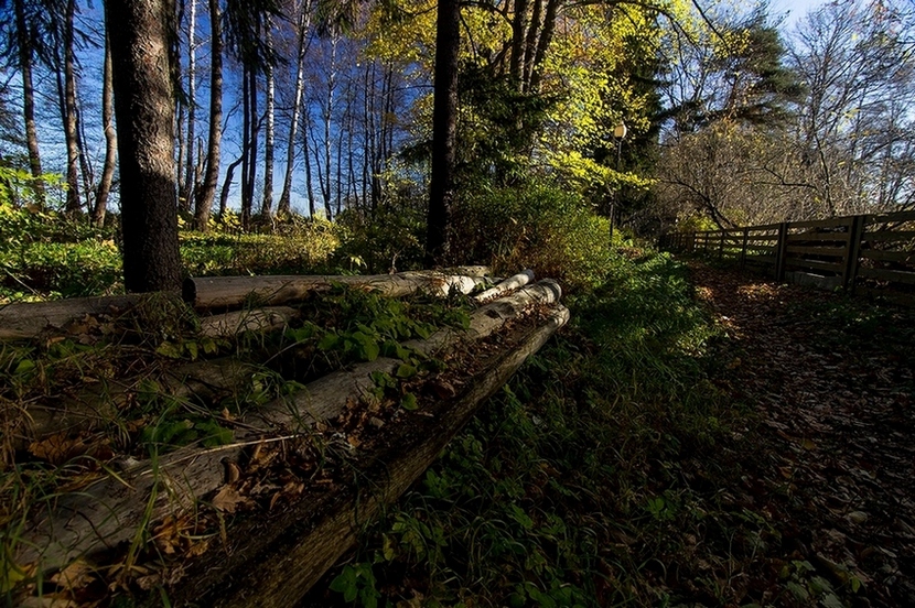 фото "Петергоф" метки: путешествия, пейзаж, природа, Европа, лес, осень