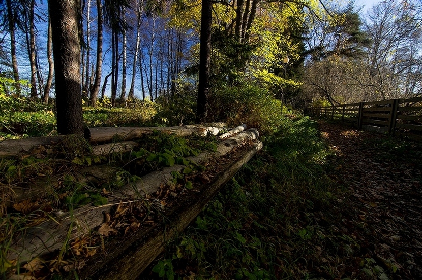 photo "***" tags: travel, landscape, nature, Europe, autumn, forest