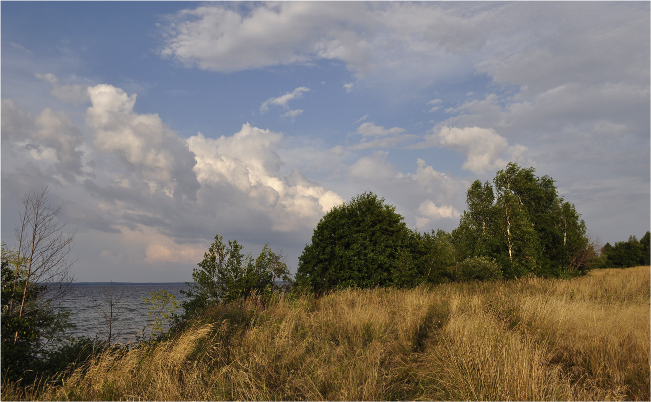 photo "***" tags: landscape, birches, clouds, grass, river, summer, water, деревья