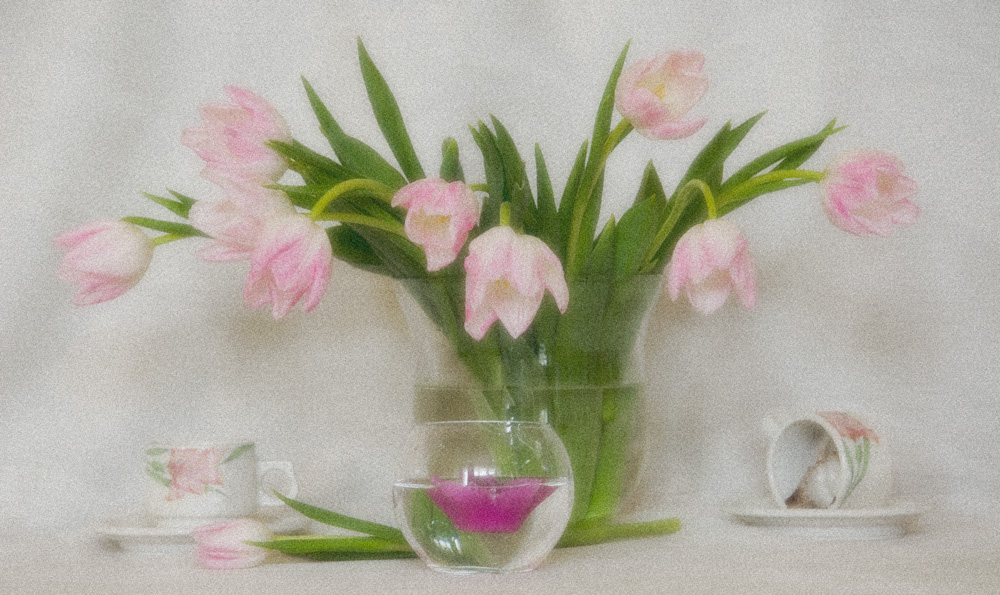 photo "***" tags: still life, flowers, тюльпан