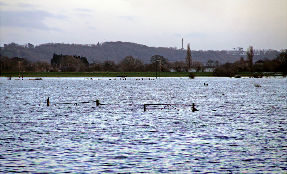 photo "Flood..." tags: reporting, water, winter, наводнение