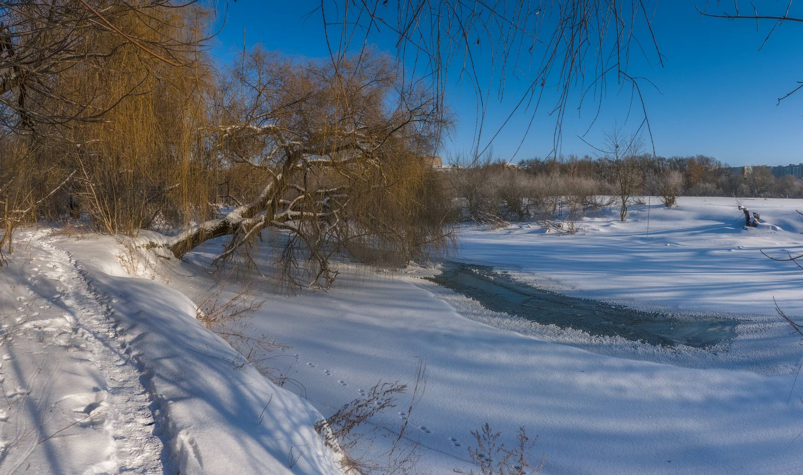 photo "***" tags: landscape, panoramic, river, sun, winter
