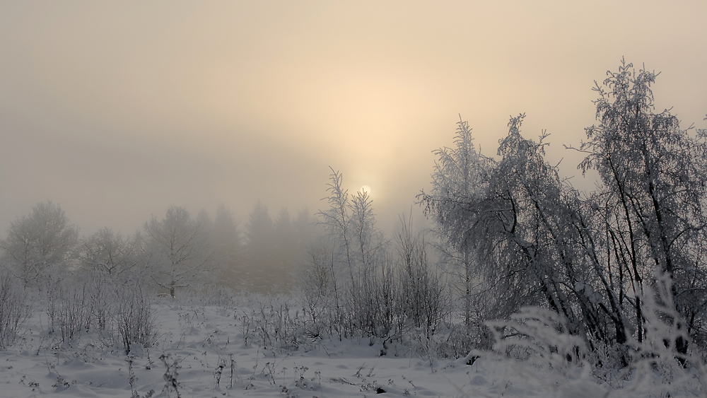 фото "утро морозное" метки: пейзаж, природа, зима, иней, свет, снег, солнце, утро