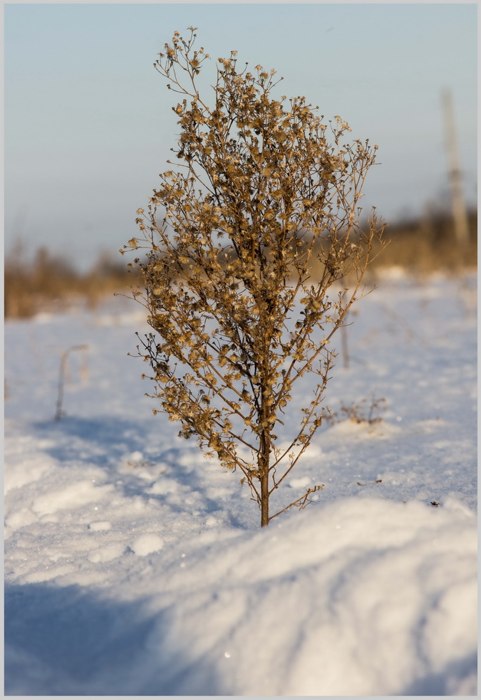 фото "***" метки: пейзаж, 