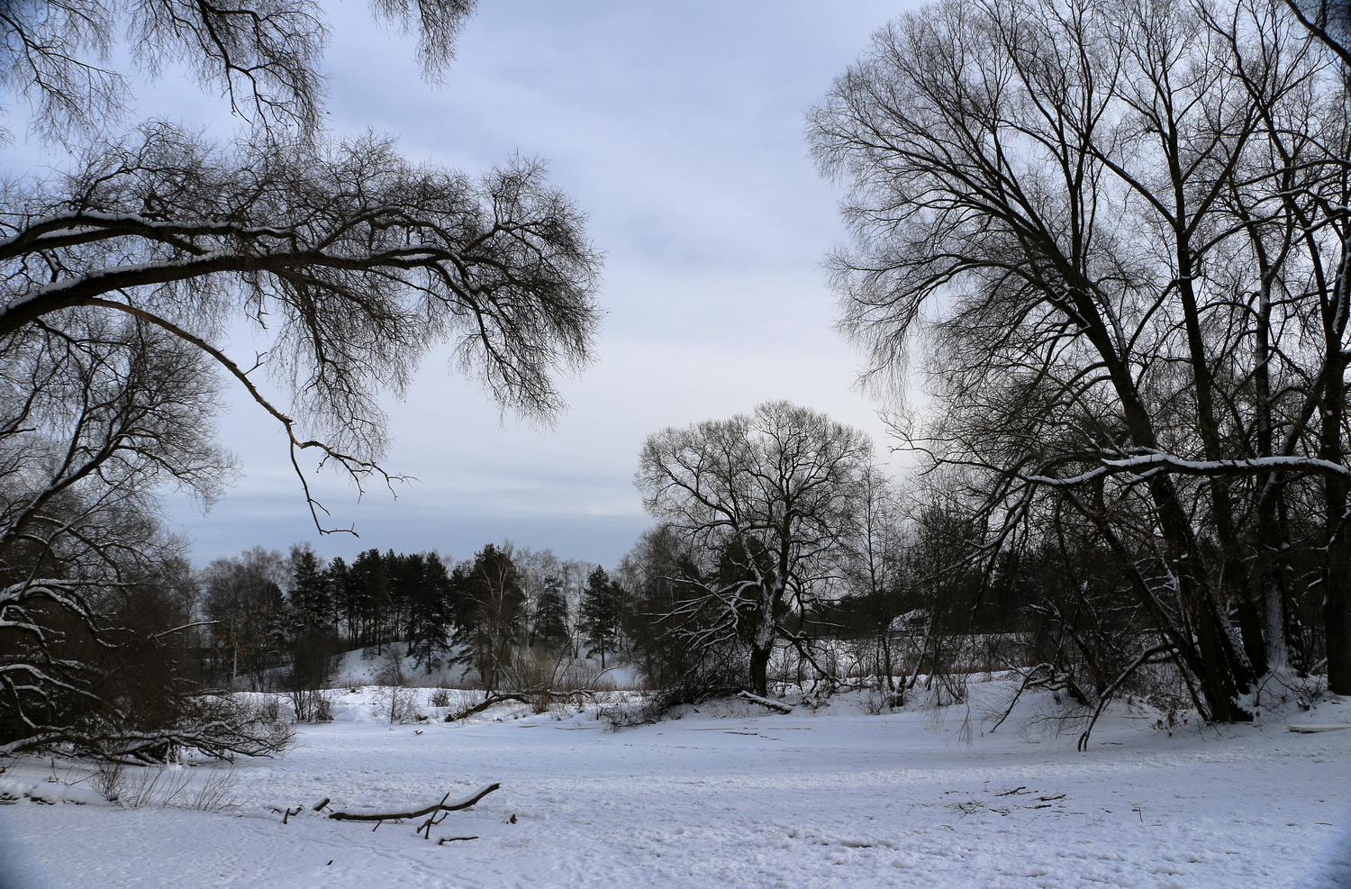 фото "ЗИМА,  ИСТРА,  -30 С" метки: природа, репортаж, черно-белые, Истра