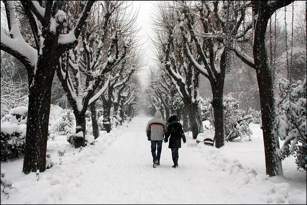 photo "***" tags: landscape, Bucharest, alley, parks, people, trees, walk, winter