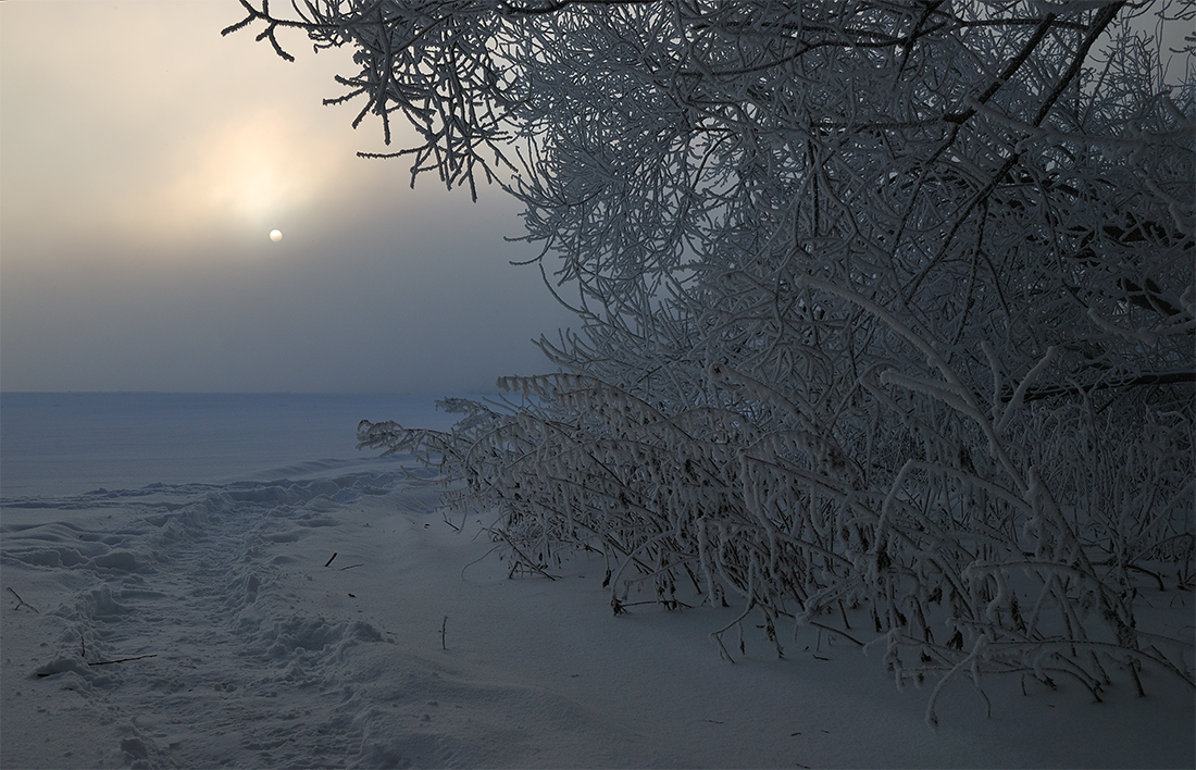 photo "***" tags: landscape, nature, fog, hoarfrost, winter