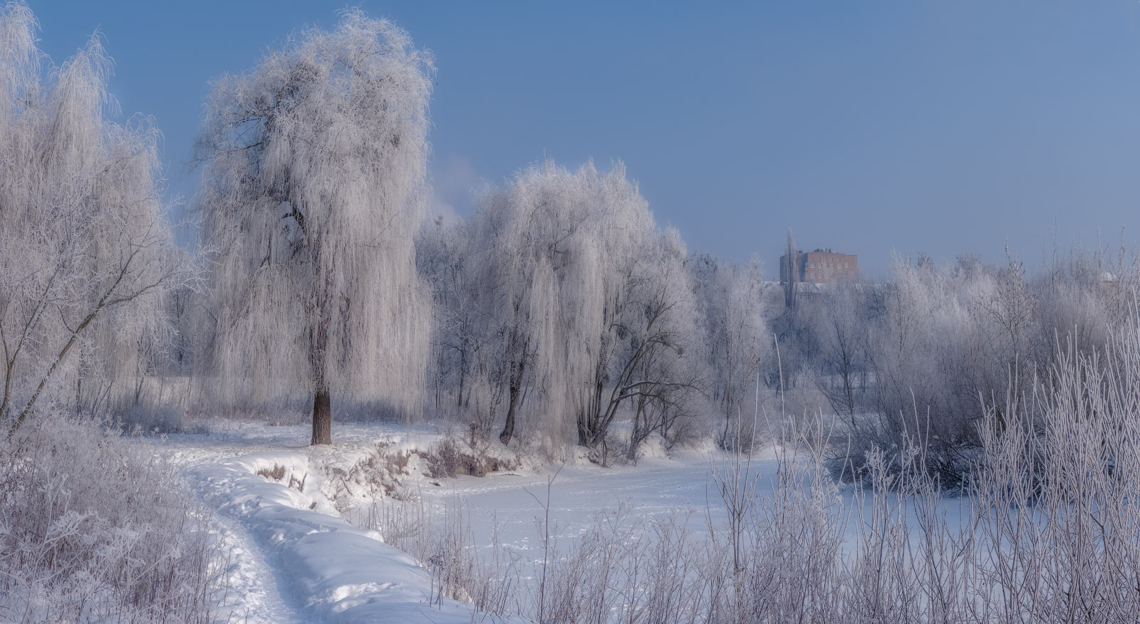 photo "When the trees are gray ..." tags: landscape, nature, panoramic, morning, river, winter, мороз