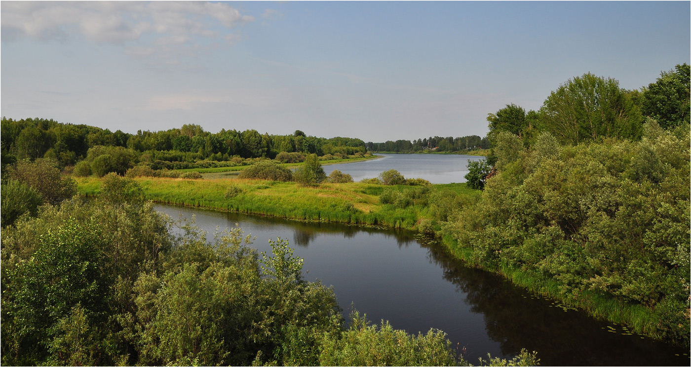 photo "***" tags: landscape, forest, river, summer, water, деревья, разлив