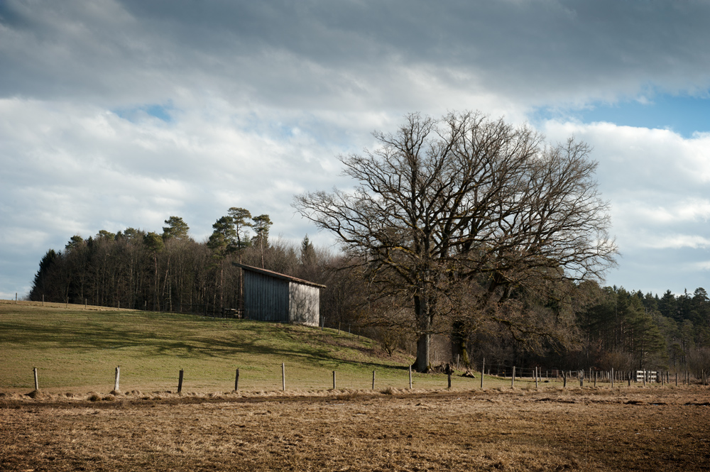 photo "Bavaria" tags: landscape, 