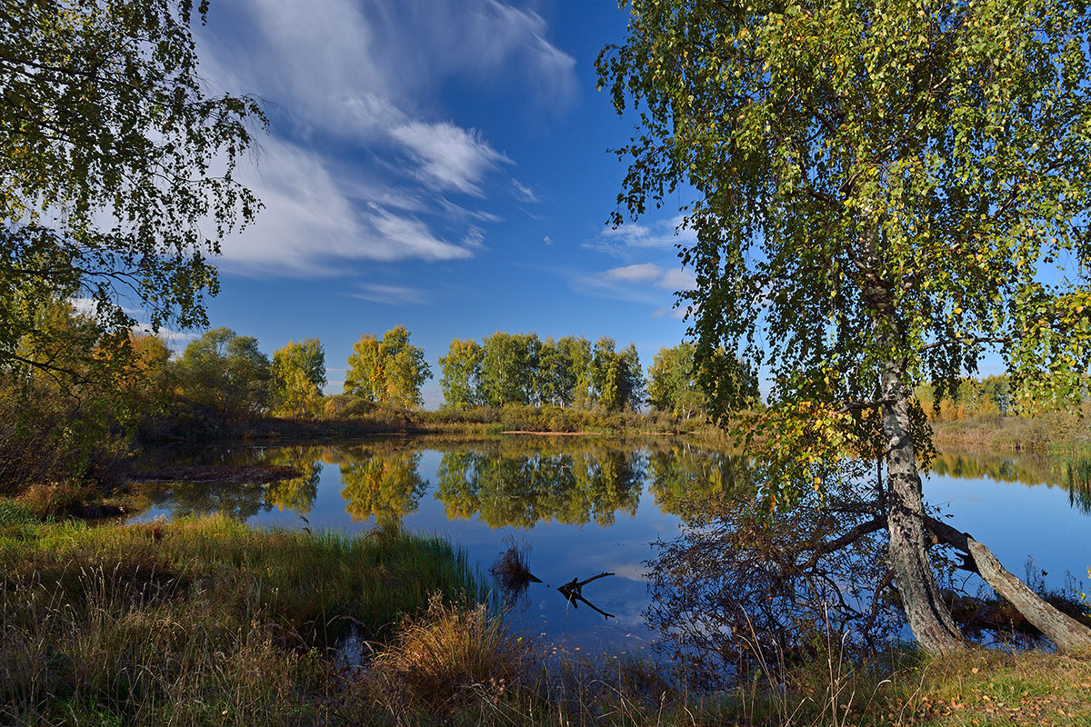 маленькое озерцо для пейзажа. лесные реки озера ярославская область. тихая завод лесного озера. озеро в лесу. река которосль туман.