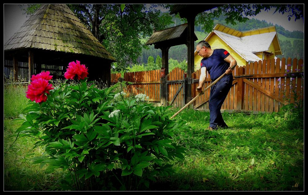 photo "Mower time..." tags: nature, misc., 