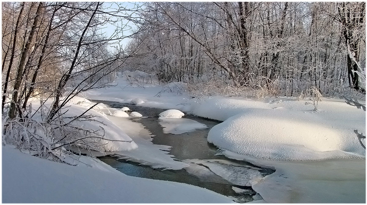 фото "В снежном плену" метки: пейзаж, природа, зима