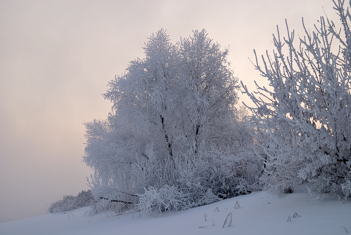 photo "***" tags: landscape, nature, fog, hoarfrost, winter