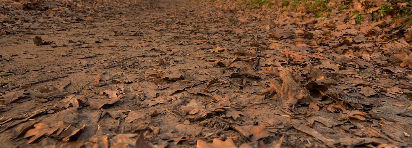 photo "***" tags: landscape, Ukraine, autumn, sunset, Запорожье