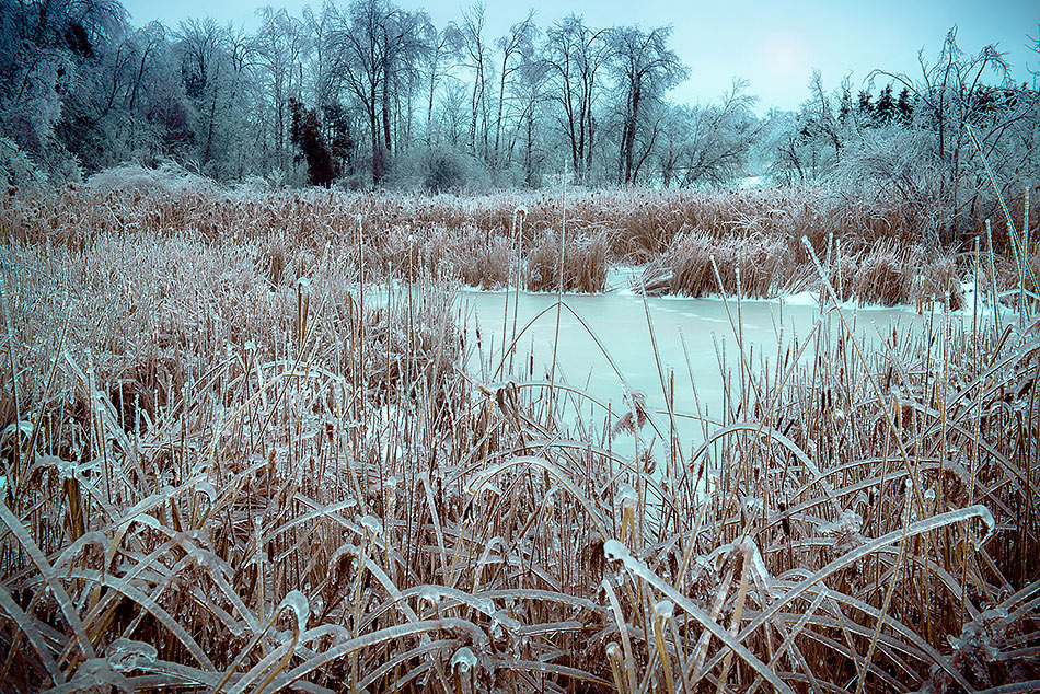 photo "Frozen pond" tags: nature, landscape, 