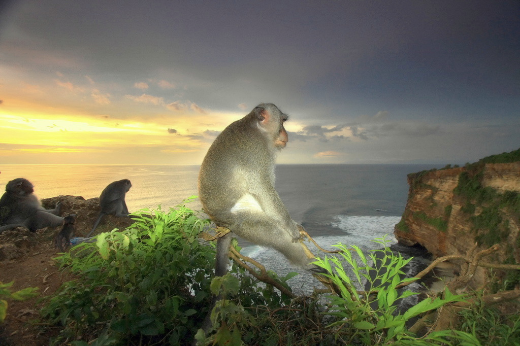 photo "***" tags: landscape, genre, nature, Asia, clouds, sunset, water, wild animals