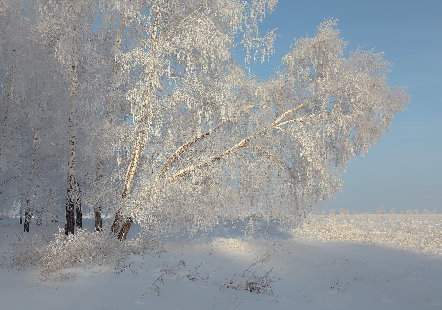 photo "***" tags: landscape, winter