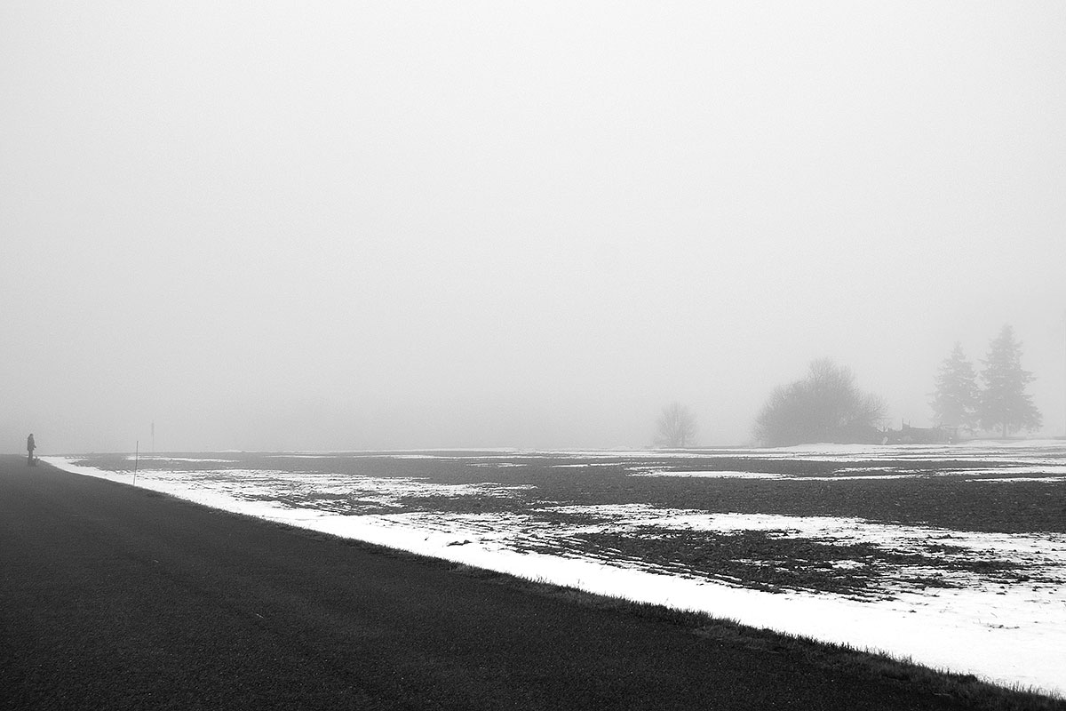 photo "Прогулка в тумане" tags: landscape, nature, black&white, field, fog, road, winter