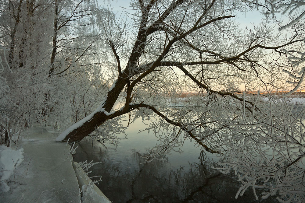 фото "***" метки: пейзаж, Беларусь, иней, река, утро