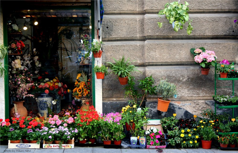 фото "florist shop" метки: репортаж, 