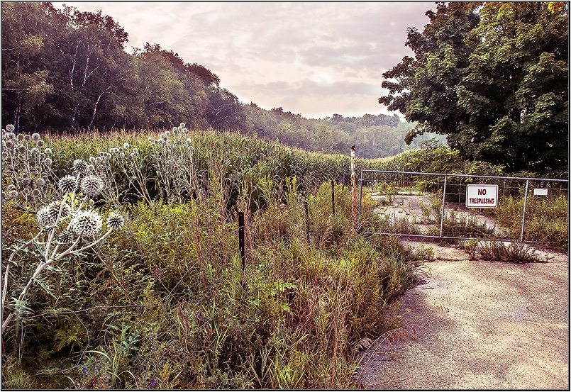 photo "Forbidden" tags: landscape, 