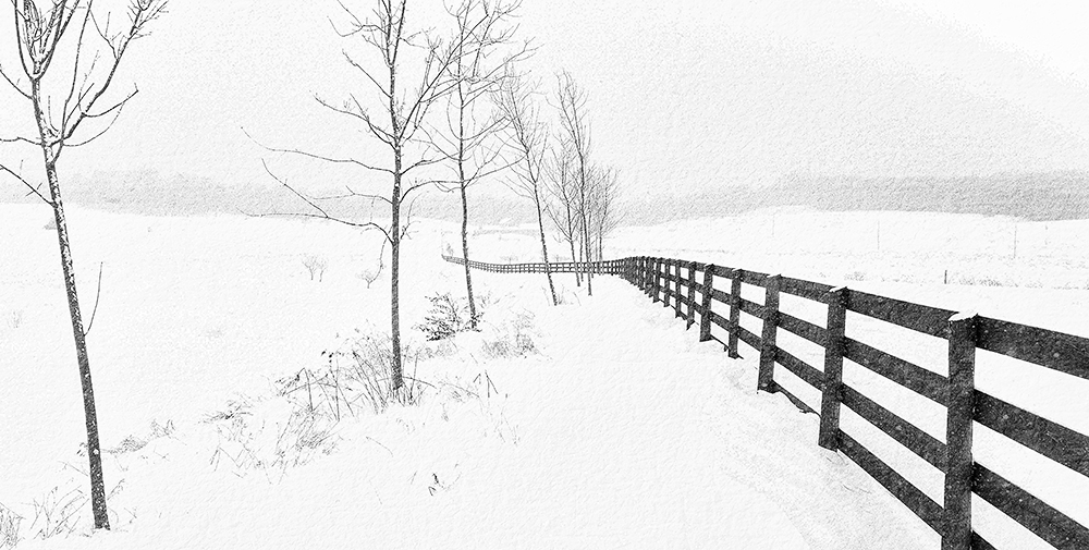 photo "draftsmanship of winter" tags: landscape, black&white, 