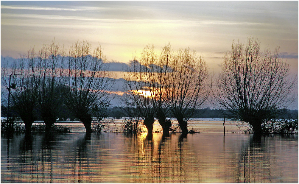 photo "Flood" tags: reporting, nature, evening, sunset, water, winter, дерева, наводнение, настроение, силуэты