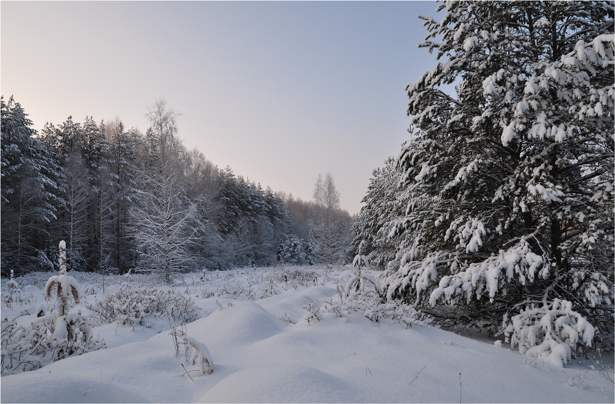 photo "***" tags: landscape, forest, snow, winter