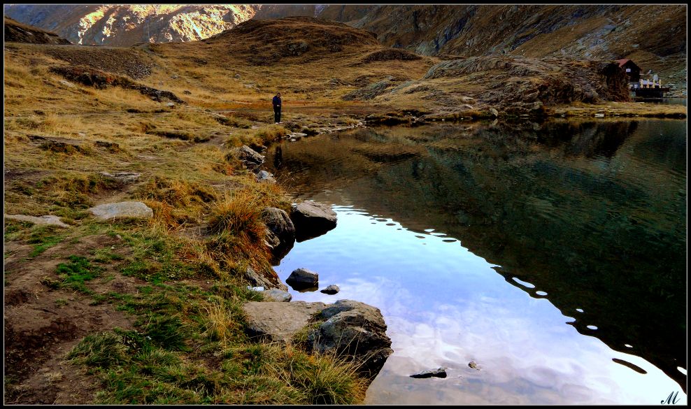 photo "Meditation and poetry in nature" tags: nature, landscape, 