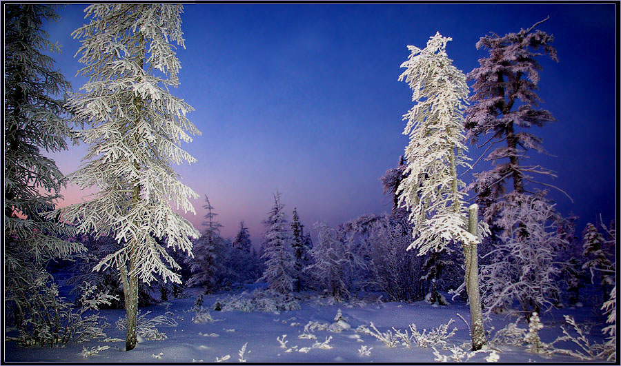 photo "***" tags: landscape, morning, taiga, Якутия, мороз