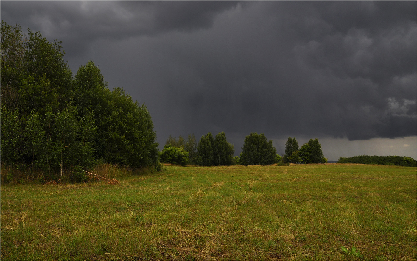фото "Ливень" метки: пейзаж, путешествия, разное, деревья, дождь, лето, облака, трава