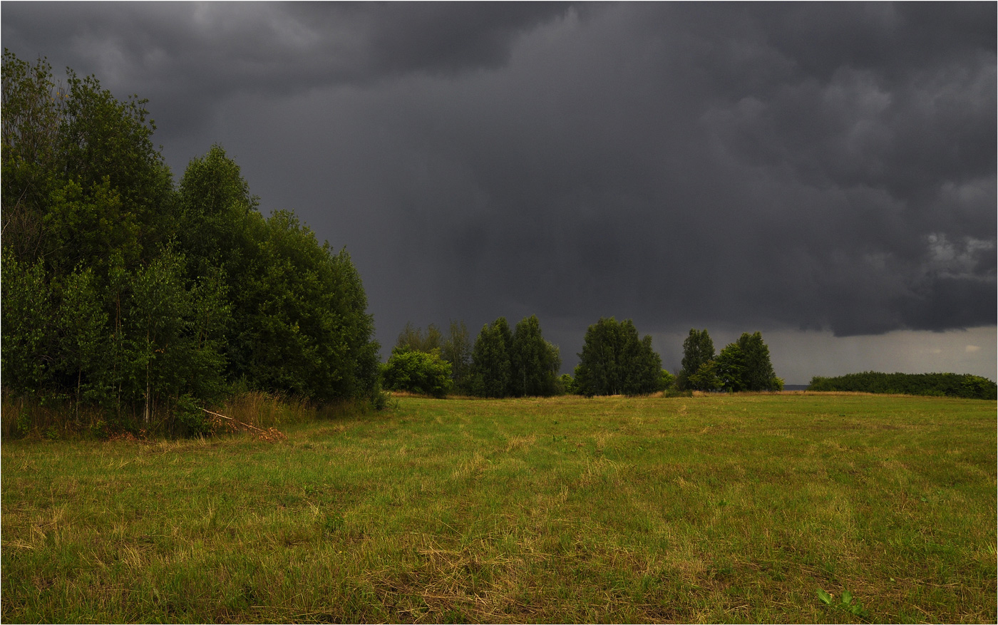photo "***" tags: landscape, travel, misc., clouds, grass, rain, summer, деревья