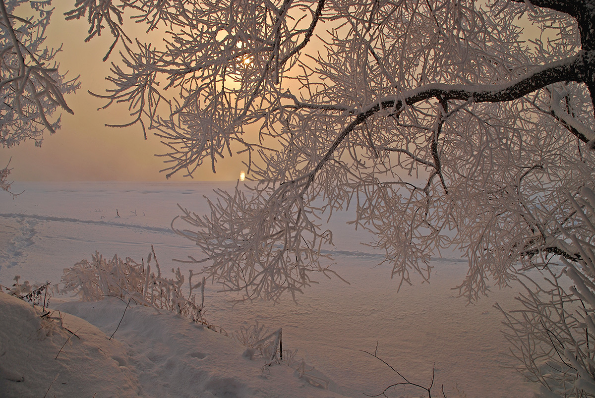 photo "***" tags: landscape, nature, fog, hoarfrost, river, winter, солнце.