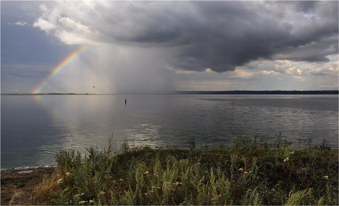 photo "***" tags: landscape, flowers, rainbow, river, summer, water, ливень, птицы