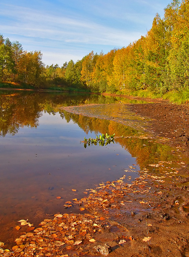 photo "***" tags: landscape, nature, autumn, river, р. Пра