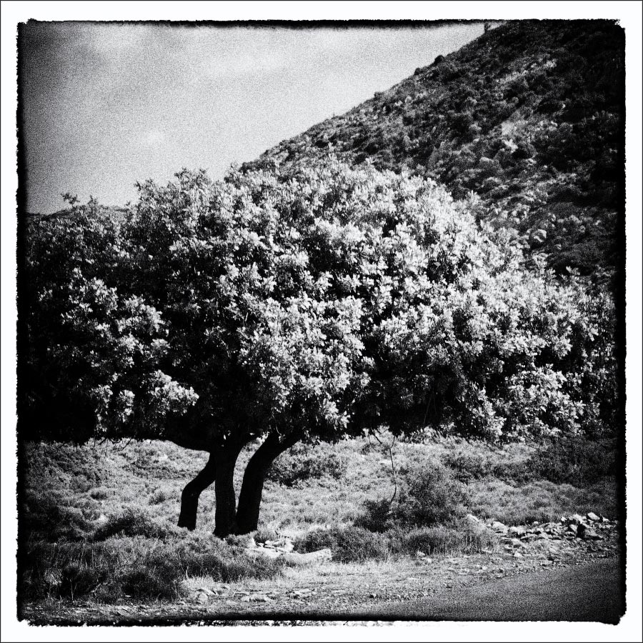 photo "***" tags: travel, landscape, Crete