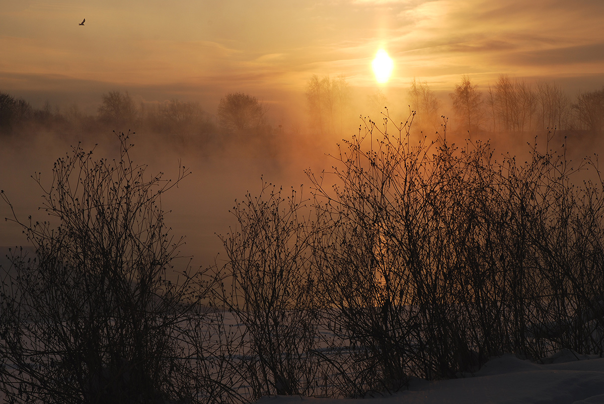 photo "***" tags: landscape, nature, fog, river, winter