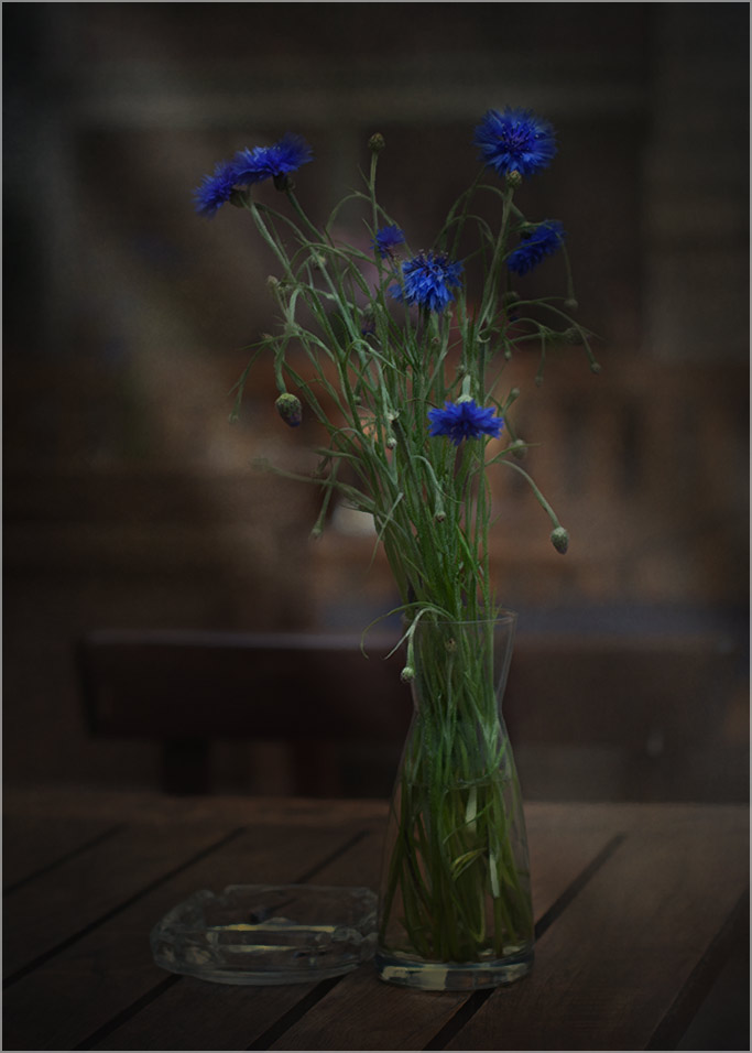 photo "***" tags: still life, flowers, foto liubos, still life