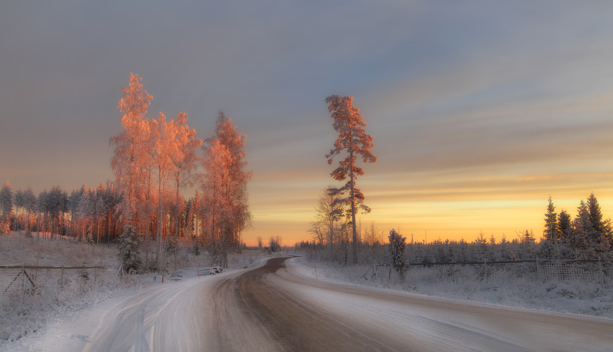 фото "В нарядах цвета персика" метки: пейзаж, природа, 