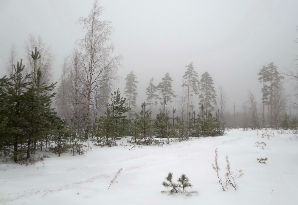 фото "***" метки: пейзаж, 
