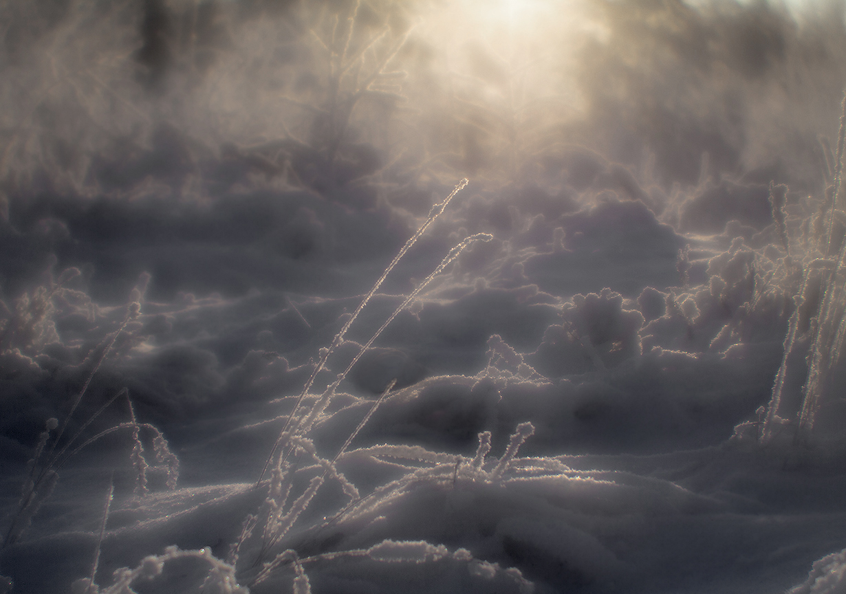 photo "***" tags: macro and close-up, nature, монокль