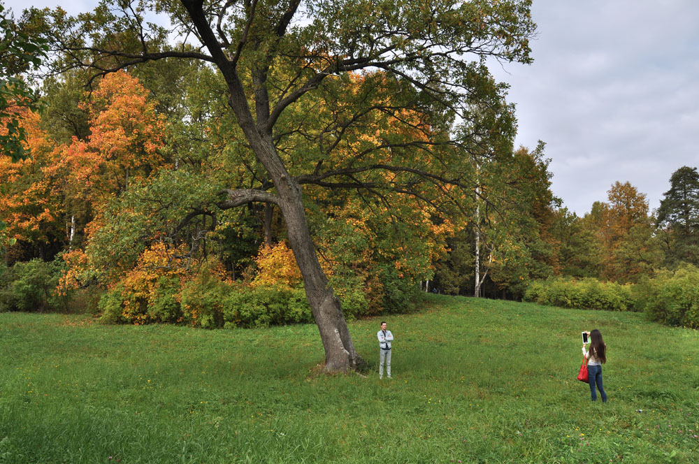 photo "***" tags: landscape, autumn, park